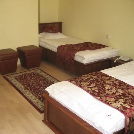 Hotel Transilvania 3*