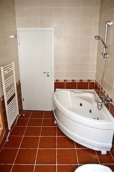 Hotel Transilvania 3*