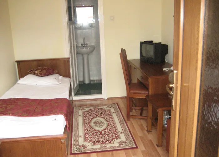 Hotel Transilvania 3*