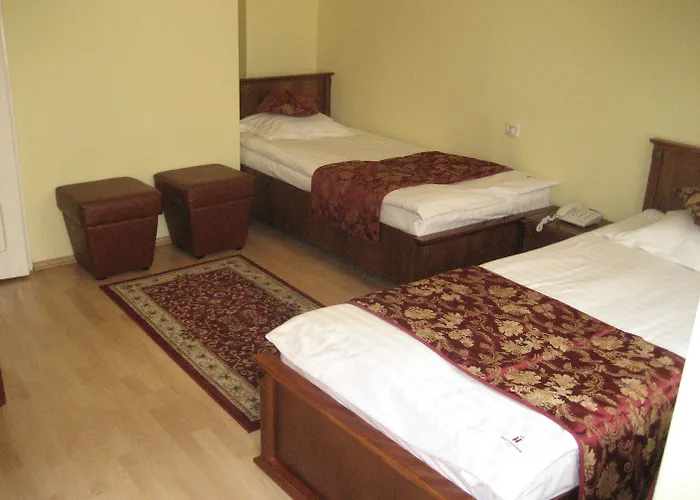 Hotel Transilvania 3*